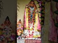 মহাপ্রভু।।mahaprabhu krishna god