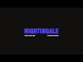 Young Rising Sons - Nightingale (Audio)