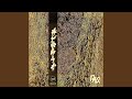 Hyphae