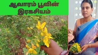 இளமையான தோற்றம் தரும் ஆவாரம் பூவின் மருத்துவ குணம் Tanner's cassia Anti-ageing, medicinal uses#Like