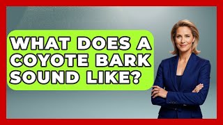 What Does A Coyote Bark Sound Like? - The Marksman's Journal