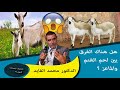 هل هناك فرق بين لحم الغنم والماعز الاجابة ستصدمك الدكتور محمد الفايد