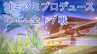 【スターホース４】　ー 223頭目ー　ゴミシミプロデュース　全17戦　※215頭目のゴミシミトライアウトと、222頭目のゴミシミホストクラブとの次世代馬です(生産は血統表生産P2C6)。