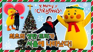 🎄크리스마스 트리는 언제부터 시작된 걸까?ㅣ성탄 트리 유래ㅣ서울 시청 트리