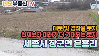 (거래완료)세종시 1생활권 경계 초인접, 세종시 장군면 농지, 대토 및 투자용, 세종시와 공주시 경계, 교통편리, 입지 최고