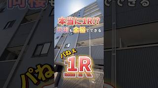 本当に1R?!同棲も余裕でできちゃう👫 #shorts #ルームツアー #内見 #不動産 #お部屋探し