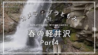 春の軽井沢4/4 カメラとブラともみ#10