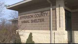 Ohio animal shelter extends hours to help animals find forever homes