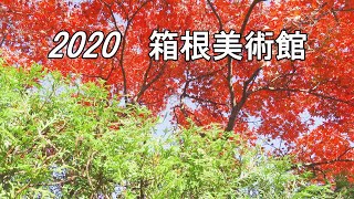 2020.11.16 箱根美術館の紅葉 / 鮮やかな彩りと苔庭の緑 [4K] #Hakone #AutumnLeaves