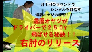 飛ばしたいのなら・・・右肘を伸ばせ！！【アマチュア還暦ゴルファー】【ゴルフの練習】【ベタ足フェースターン】