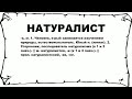 НАТУРАЛИСТ что это такое значение и описание