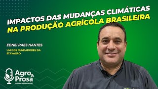 Impactos das mudanças climáticas na produção agrícola brasileira