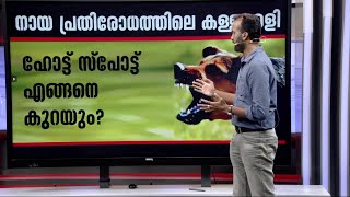 സർക്കാരിന്റെ അനാസ്ഥ; കേരളം വീണ്ടും തെരുവുനായ ഭീതിയിൽ | Stray Dogs | Stray Dog Attack | ABC Center