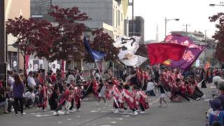 朝霞溝連＠2018　つるせよさこい祭り