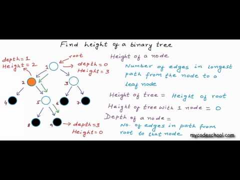 Find height of a binary tree Find height of a binary tree