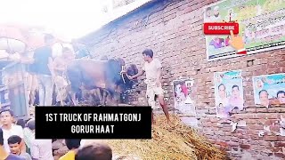 Rahmatgonj Gorur Haat 2019 🐄