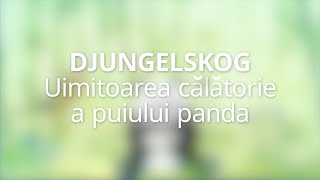 Călătoria fantastică a lui Panda