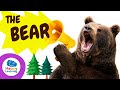 THE BEAR | Animals for Kids | Happy Learning 🧸🐼🐻‍❄️ #happylearning #bear #animals