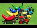 TRANSPORT  BANANA & WATER TANKER WITH JOHN DEERE & COLORED TRAILERS & TESLA TRUCK! FS22