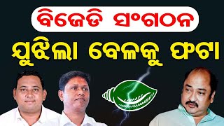 ବିଜେଡି ସଂଗଠନ ଯୁଝିଲା ବେଳକୁ ଫଟା | BJD Plans Protest Against BJP Government | Odisha Reporter