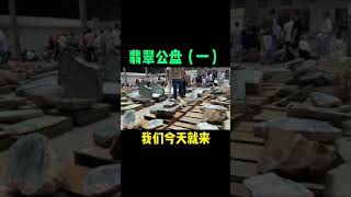 翡翠公盘（一） #翡翠  #翡翠原石  #抖加小助手  #大自然的搬运工  #翡翠知识