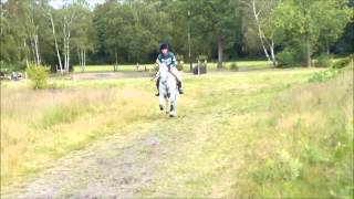 Marlston Eventing - 2014 Highlights