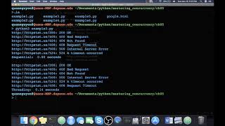 Mastering Concurrency in Python | 5. Concurrent Web Requests