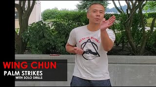 Palm Strikes With Solo Training - Wing Chun, Kung Fu Report - Adam Chan