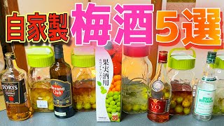 【Alc.96%】スピリタスで梅酒！？5種のお酒で梅酒作り！【自家製梅酒】