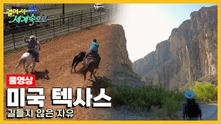 [걸어서세계속으로Full📺] 모든 게 정말 큰 곳, 풍요로운 땅 '미국 텍사스' Trip to Texas (KBS 20230429)