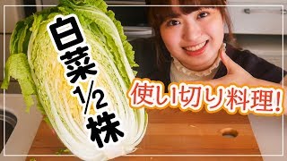 【白菜を大量消費】1/2株使い切りで美味しい料理に！【簡単レシピで４品】