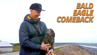 Bald Eagles, Our Greatest Conservation Success Story (Salish Sea Wild)