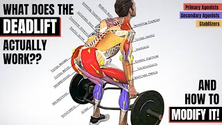 BEFORE YOU DEADLIFT, Understand the Anatomy Behind It! (Which Muscles It Works & How to Modify It) 🔥
