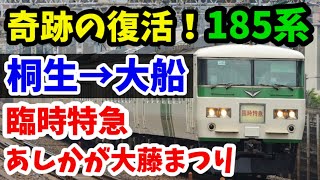 【185系の復活列車】特急あしかが大藤まつり号に乗ってきた！