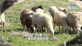 성지가 좋다 84회 디르사 - 이강근 박사