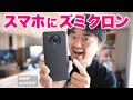 視聴者リクエスト「SHARP AQUOS R7」スマホカメラレビュー！ライカレンズ銘玉「ズミクロン」の作例写真たっぷりお見せします！なんと8K動画まで撮れちゃった