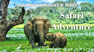 Uncovering the Untamed Wild Side of Africa । The Ultimate Safari Adventure । TrailBliss Travels