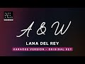 A&W - Lana Del Rey (Original Key Karaoke) - Piano Instrumental Cover with Lyrics