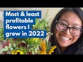 Most & Least Profitable Flowers I Grew in 2022