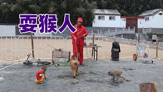 中国大陆耍猴人，猴子，戏猴人，猴戏，中国大陆非物质文化遗产