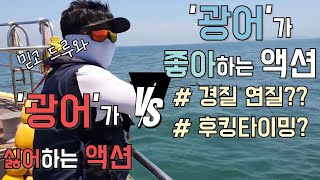 광어다운샷 광어가 좋아하는 액션 vs 싫어하는 액션, 경질 vs 연질, 후킹타이밍잡기, 안전하게 랜딩하기 등 종합꿀팁모음