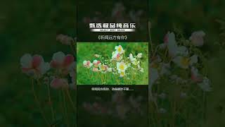 遇到对你好的人容易，但待你如初的人却很少，相遇在天，相守在人#纯音乐