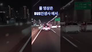 버스 전용차선 양심불량자!! 모험거는구나!!#shorts #버스전용차선 #얌체운전자