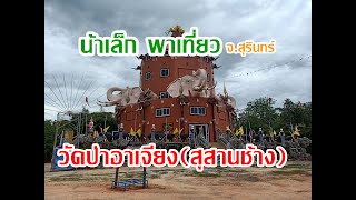 วัดป่าอาเจียง (สุสานช้าง)