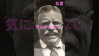 【名言集Vol.160】第26台アメリカ合衆国大統領　セオドア ・ルーズベルト・ジュニア(Theodore Roosevelt Jr.) #名言 #格言 #大統領 #アメリカ #政治 #政府 #法律