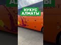 Нукус Алматы автобус алматы нукус автобус каракалпакстан