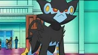 Luxray - How To Use + Strategy Guide!! | Pokémon Showdown