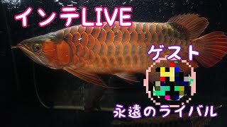 インテLive　混泳、混泳魚は何を選ぶ？苔をなくす方法　ゲスト永遠のライバル