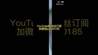 YouTube油管刷粉丝点赞视频播放量播放时长直播等 VIP自助刷粉网fansvips.com #youtube刷粉 #油管刷粉 #油管涨粉