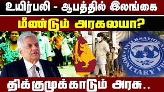 உயிர்பலி - ஆபத்தில் இலங்கைமீண்டும் அரகலயா?திக்கமுக்காடும் அரசு..Unmaiyin Alasal | உண்மையின் அலசல்